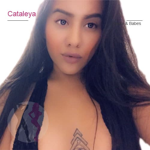 Cataleya – ca