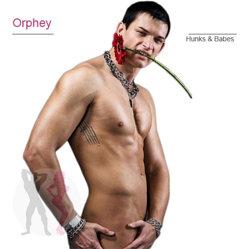 Orphey – fl