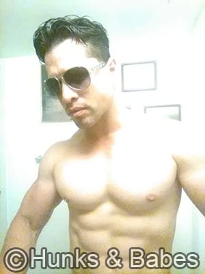 Wolf – fl - image 2