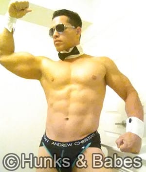 Wolf – fl - image 3