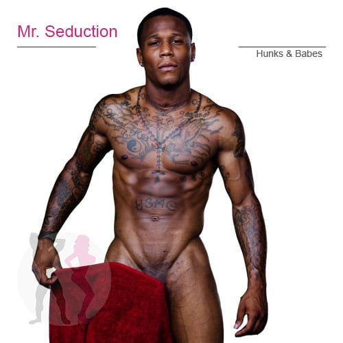 Mr. Seduction – ga