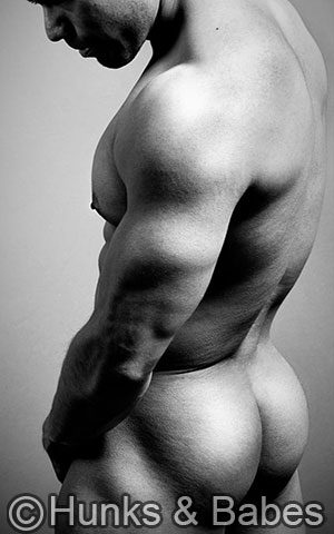 Donato – il - image 5