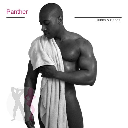 Panther – tx