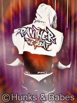 Panther – tx - image 3