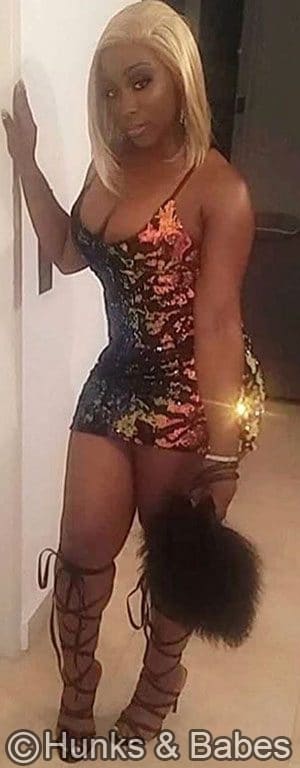 Cashmere – nv - image 3