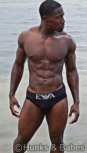 Kevin james – nv - image 2