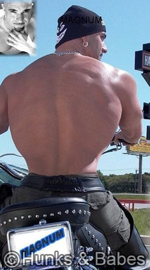 Magnum – tx - image 3